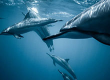 九游体育APP-乐鱼体育官网登录：开启属于你的体育盛宴